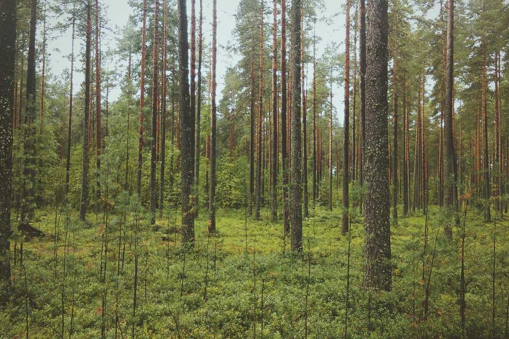 Nostrum quia et dolorem corporis vel iure et voluptatem perferendis amet